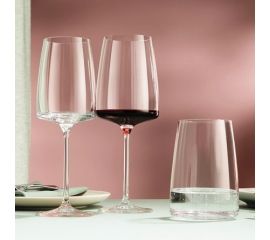 Schott Zwiesel (Германия)